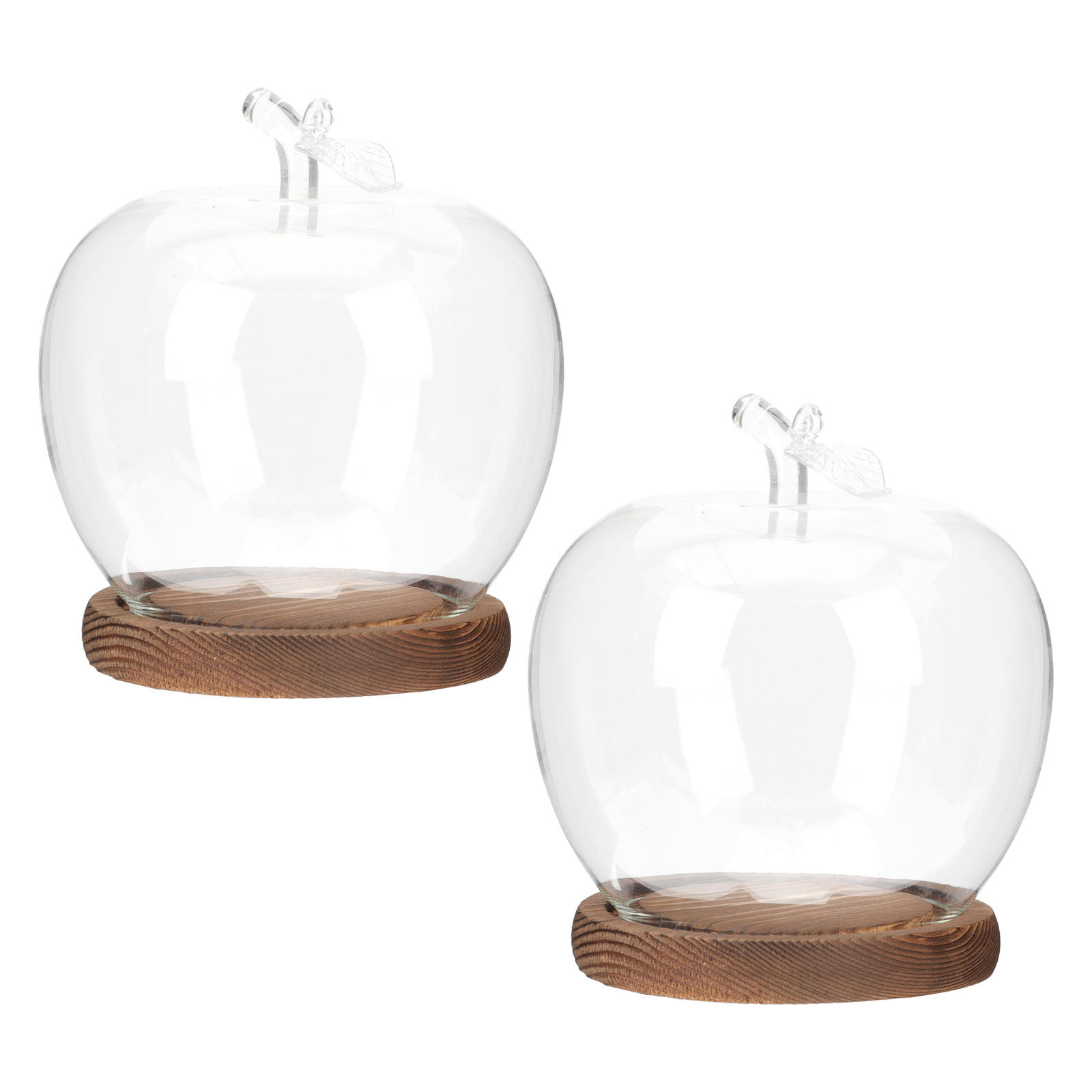 Plastic Dome Clear - 2 Buah Kubah Kaca dengan Alas