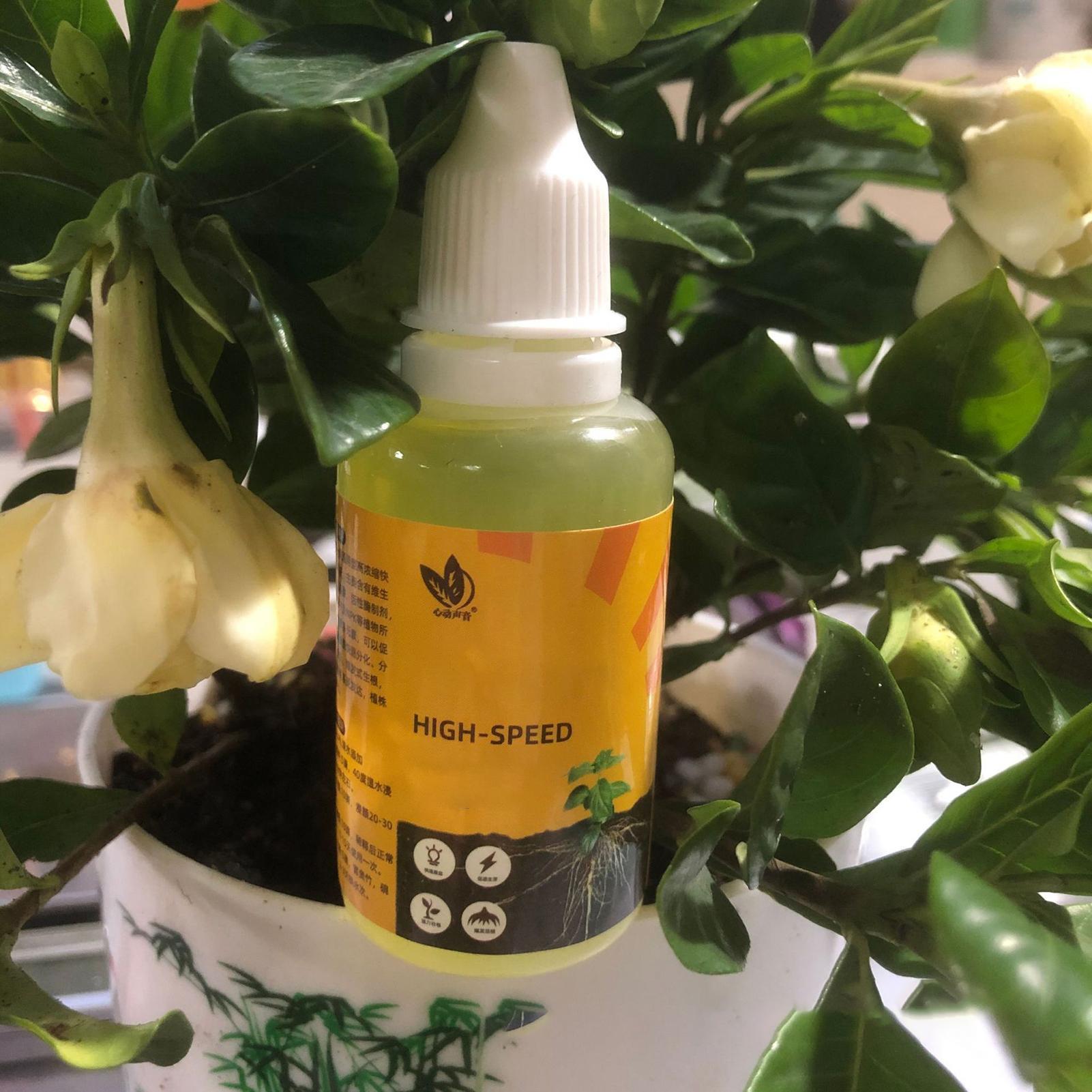50Ml Stimulator Pengakaran Tan - Rooting Hormone Powder ulasan dan harga